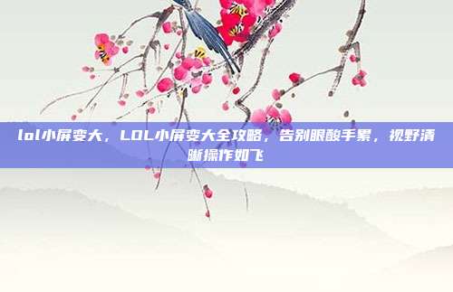lol小屏变大，LOL小屏变大全攻略，告别眼酸手累，视野清晰操作如飞