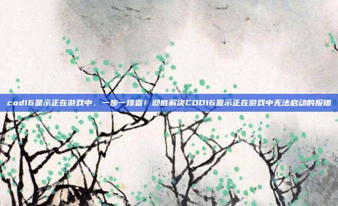 cod16显示正在游戏中,一步一排查!彻底解决COD16显示正在游戏中无法启动的报错
