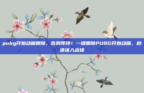 pubg开始动画删除,告别等待!一键删除PUBG开始动画,秒速进入战场