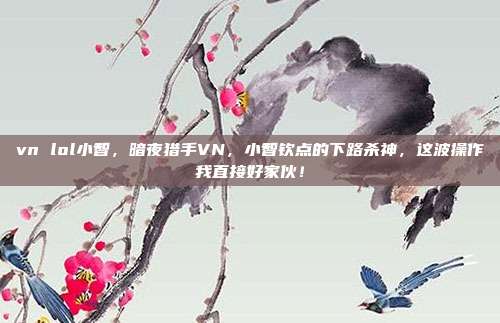 vn lol小智,暗夜猎手VN,小智钦点的下路杀神,这波操作我直接好家伙!