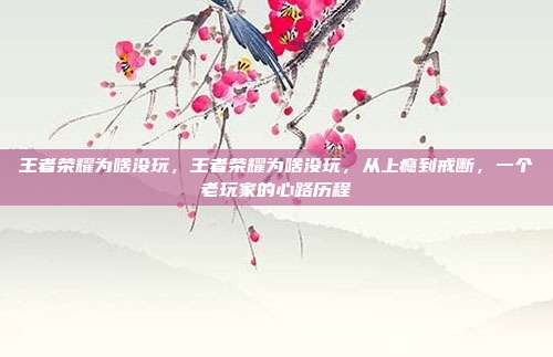 王者荣耀为啥没玩,王者荣耀为啥没玩,从上瘾到戒断,一个老玩家的心路历程