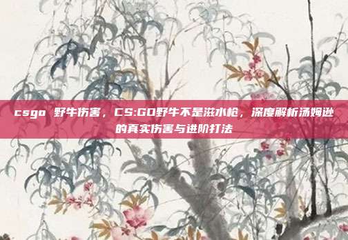 csgo 野牛伤害,CS:GO野牛不是滋水枪,深度解析汤姆逊的真实伤害与进阶打法