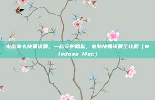 电脑怎么快捷锁屏，一秒守护隐私，电脑快捷锁屏全攻略（Windows Mac）