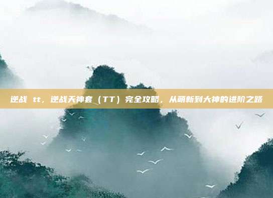 逆战 tt,逆战天神套(TT)完全攻略,从萌新到大神的进阶之路