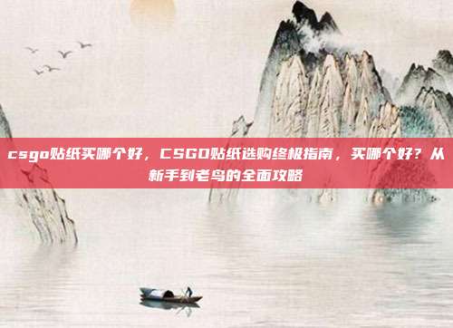 csgo贴纸买哪个好,CSGO贴纸选购终极指南,买哪个好?从新手到老鸟的全面攻略