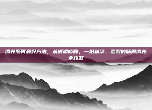 调养肠胃最好方法,从根源修复,一份科学、温和的肠胃调养全攻略