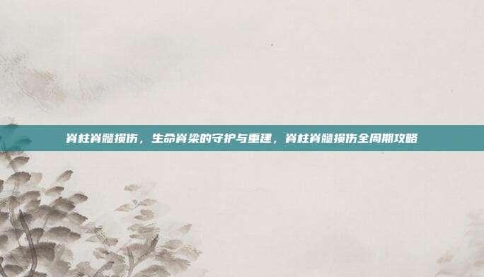 脊柱脊髓损伤,生命脊梁的守护与重建,脊柱脊髓损伤全周期攻略