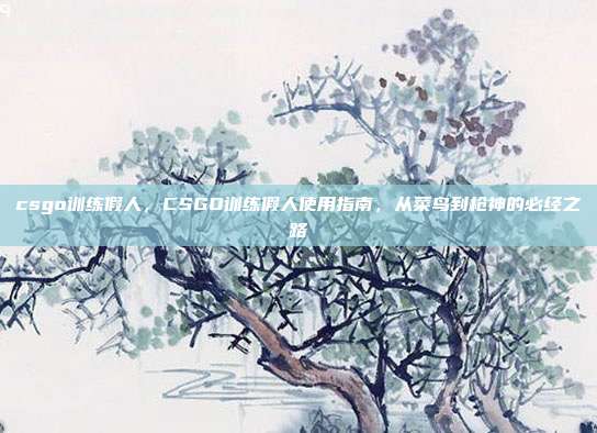 csgo训练假人,CSGO训练假人使用指南,从菜鸟到枪神的必经之路