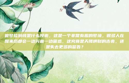 做梦捡到钱是什么预兆,这是一个非常有趣的梦境,很多人在醒来后都会一边兴奋一边困惑,这究竟是天降横财的吉兆,还是失去更多的警告?