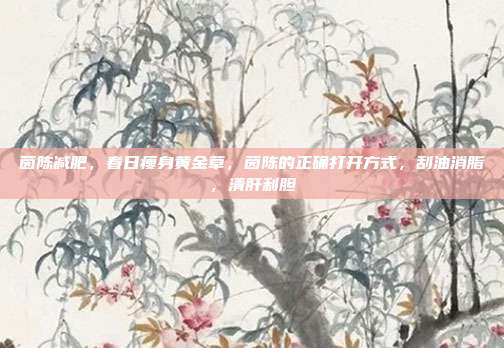 茵陈减肥,春日瘦身黄金草,茵陈的正确打开方式,刮油消脂,清肝利胆