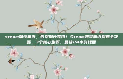 steam加快申诉,告别漫长等待!Steam账号申诉提速全攻略,3个核心步骤,最快24小时找回