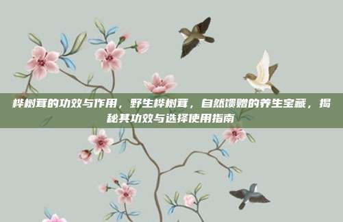 桦树茸的功效与作用,野生桦树茸,自然馈赠的养生宝藏,揭秘其功效与选择使用指南