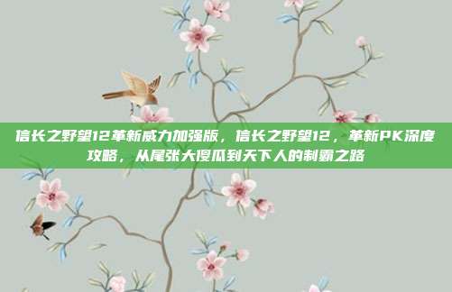 信长之野望12革新威力加强版,信长之野望12,革新PK深度攻略,从尾张大傻瓜到天下人的制霸之路