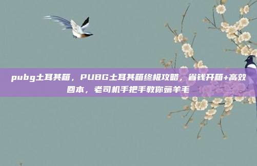 pubg土耳其箱,PUBG土耳其箱终极攻略,省钱开箱+高效回本,老司机手把手教你薅羊毛