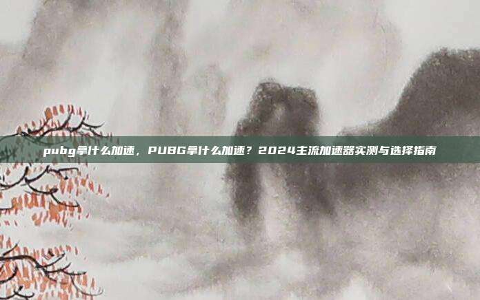 pubg拿什么加速,PUBG拿什么加速?2024主流加速器实测与选择指南