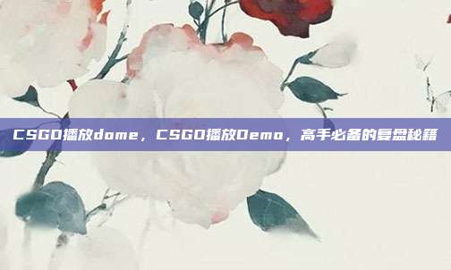 CSGO播放dome,CSGO播放Demo,高手必备的复盘秘籍