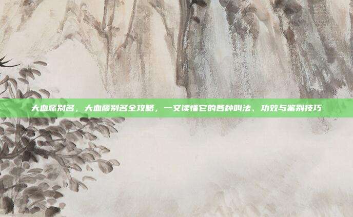 大血藤别名,大血藤别名全攻略,一文读懂它的各种叫法、功效与鉴别技巧