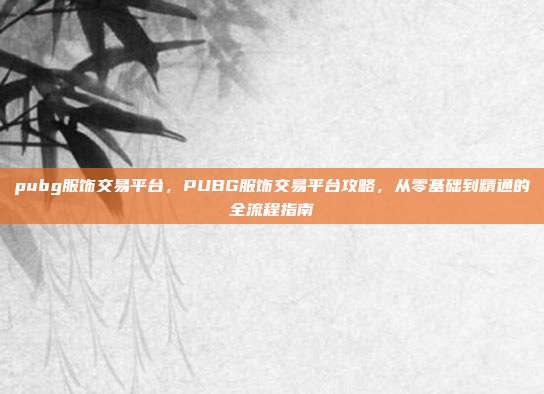 pubg服饰交易平台,PUBG服饰交易平台攻略,从零基础到精通的全流程指南