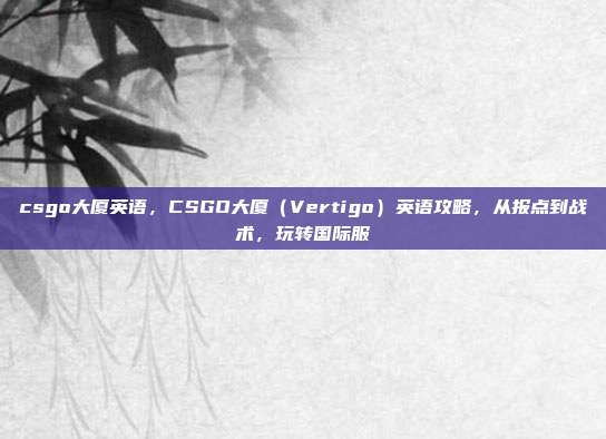 csgo大厦英语,CSGO大厦(Vertigo)英语攻略,从报点到战术,玩转国际服