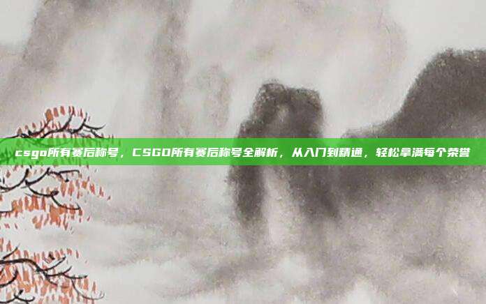 csgo所有赛后称号，CSGO所有赛后称号全解析，从入门到精通，轻松拿满每个荣誉