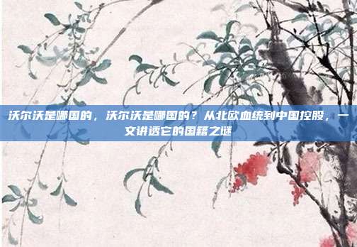 沃尔沃是哪国的,沃尔沃是哪国的?从北欧血统到中国控股,一文讲透它的国籍之谜