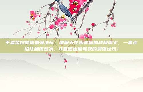 王者荣耀韩信最强法玩,国服天花板韩信的终极奥义,一套连招让脆皮蒸发,0基础也能驾驭的最强法玩!