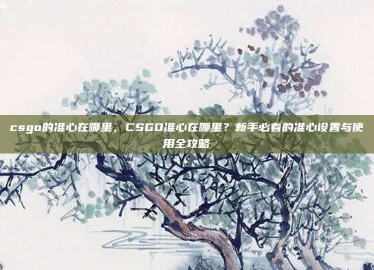 csgo的准心在哪里,CSGO准心在哪里?新手必看的准心设置与使用全攻略