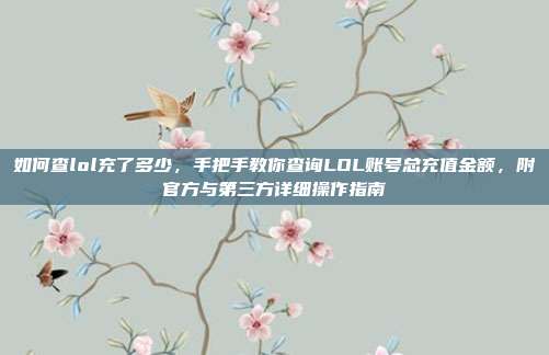 如何查lol充了多少,手把手教你查询LOL账号总充值金额,附官方与第三方详细操作指南