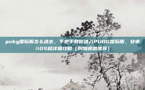 pubg国际服怎么进去,手把手教你进入PUBG国际服,安卓/iOS超详细攻略(附加速器推荐)