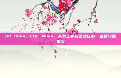 lol nova,LOL Nova,从零上手到团战核心,全面攻略指南