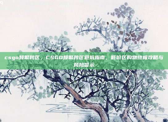 csgo频繁跨区,CSGO频繁跨区避坑指南,低价区购物终极攻略与风险警示