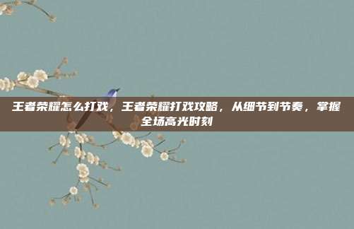 王者荣耀怎么打戏,王者荣耀打戏攻略,从细节到节奏,掌握全场高光时刻