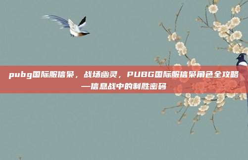 pubg国际服信枭,战场幽灵,PUBG国际服信枭角色全攻略—信息战中的制胜密码