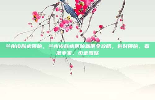 兰州皮肤病医院，兰州皮肤病医院就医全攻略，选对医院、看准专家、少走弯路