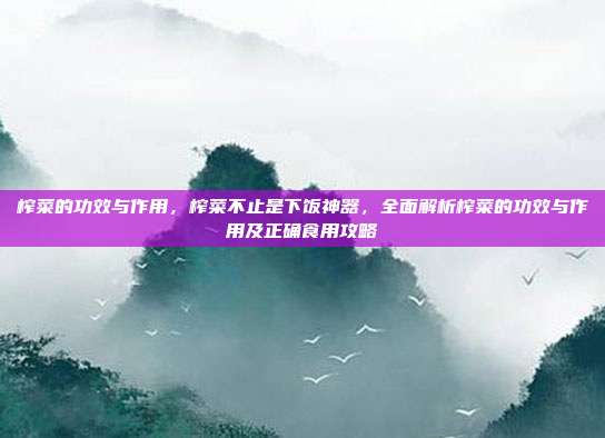 榨菜的功效与作用,榨菜不止是下饭神器,全面解析榨菜的功效与作用及正确食用攻略