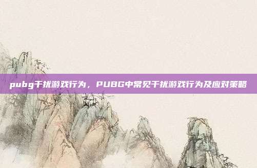 pubg干扰游戏行为，PUBG中常见干扰游戏行为及应对策略