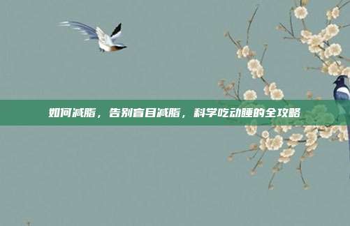 如何减脂,告别盲目减脂,科学吃动睡的全攻略