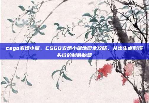 csgo农场小屋,CSGO农场小屋地图全攻略,从出生点到爆头位的制胜秘籍