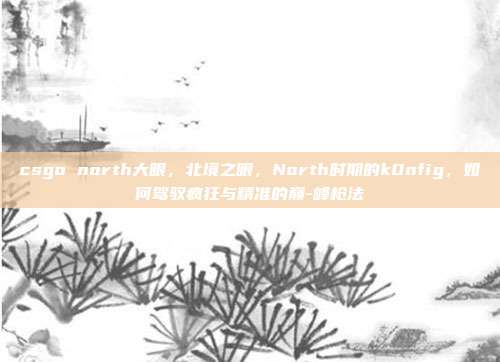 csgo north大眼，北境之眼，North时期的k0nfig，如何驾驭疯狂与精准的巅-峰枪法