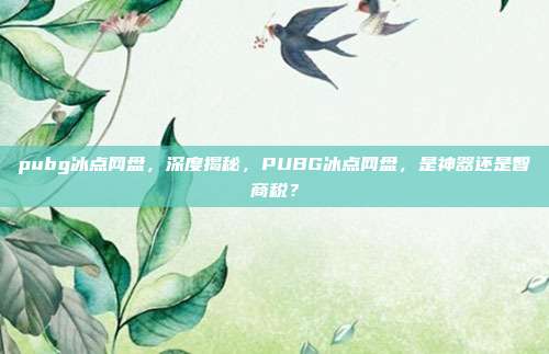 pubg冰点网盘,深度揭秘,PUBG冰点网盘,是神器还是智商税?