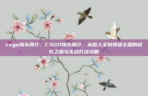 csgo馒头简介,CSGO馒头简介,从路人王到顶级主播的成长之路与实战打法攻略