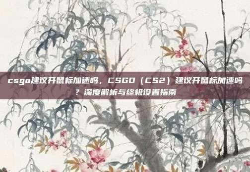 csgo建议开鼠标加速吗,CSGO(CS2)建议开鼠标加速吗?深度解析与终极设置指南