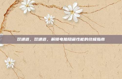 双通道,双通道,解锁电脑隐藏性能的终极指南