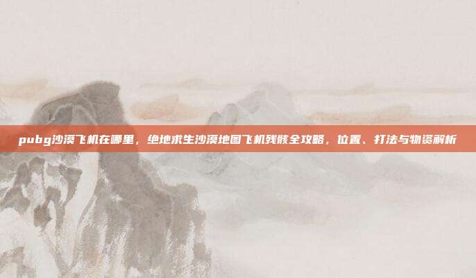 pubg沙漠飞机在哪里,绝地求生沙漠地图飞机残骸全攻略,位置、打法与物资解析
