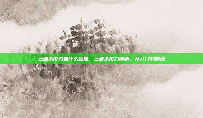 三国杀协力是什么意思,三国杀协力详解,从入门到精通