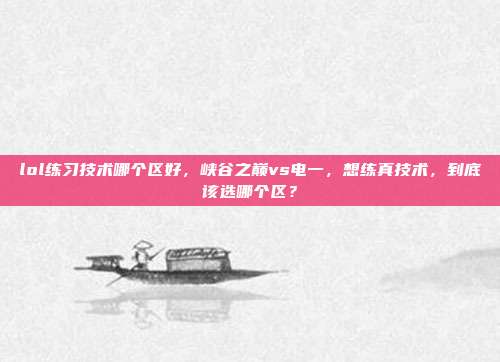 lol练习技术哪个区好,峡谷之巅vs电一,想练真技术,到底该选哪个区?