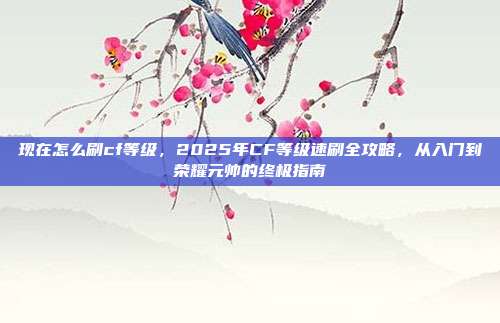 现在怎么刷cf等级,2025年CF等级速刷全攻略,从入门到荣耀元帅的终极指南