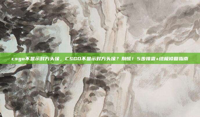 csgo不显示对方头像,CSGO不显示对方头像?别慌!5步排查+终极修复指南