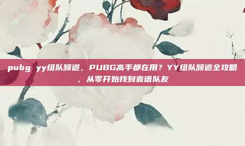 pubg yy组队频道,PUBG高手都在用?YY组队频道全攻略,从零开始找到靠谱队友