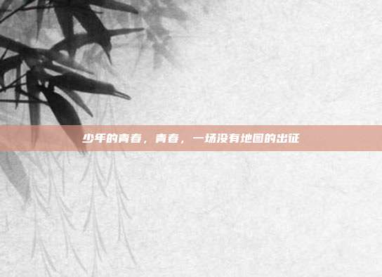 少年的青春,青春,一场没有地图的出征